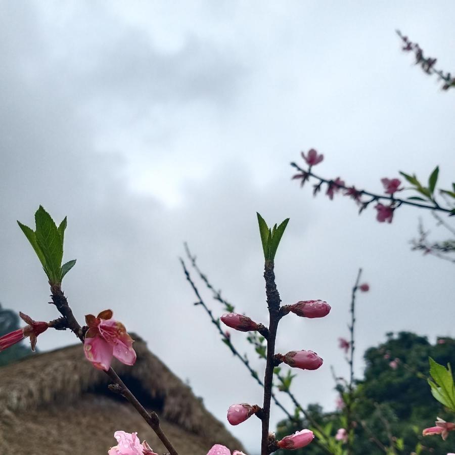 Dao Homestay Hoàng Su Phì Kültér fotó